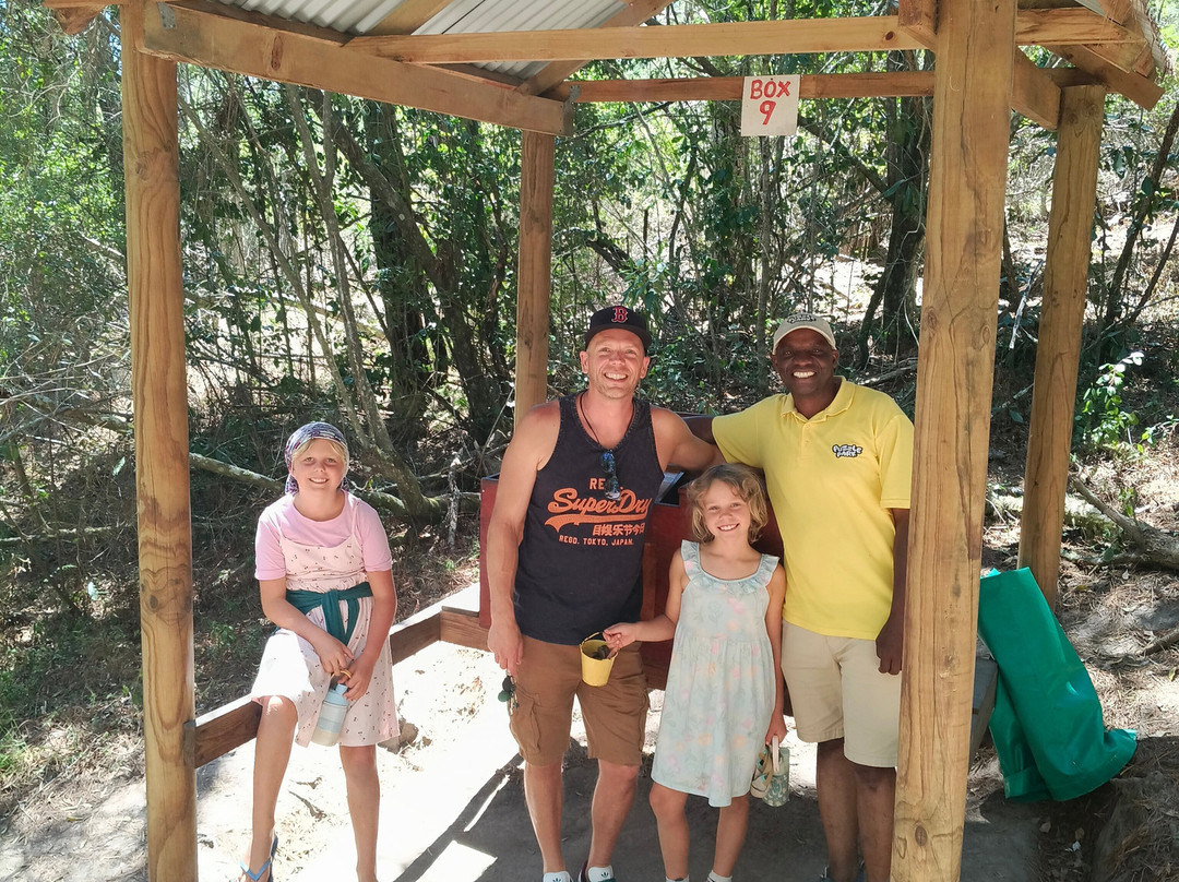 Puzzle Park SA-普利登堡湾必去景点