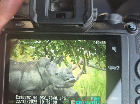 Ways of Africa-内罗毕必去景点