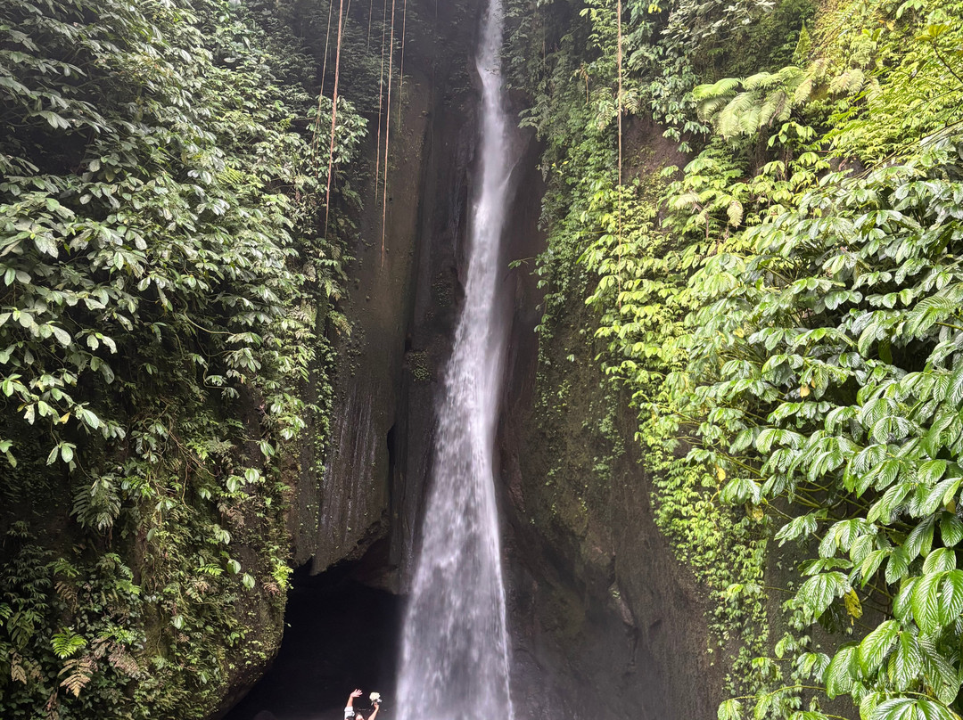 Menjangan Bali Driver Guide-佩母德兰必去景点