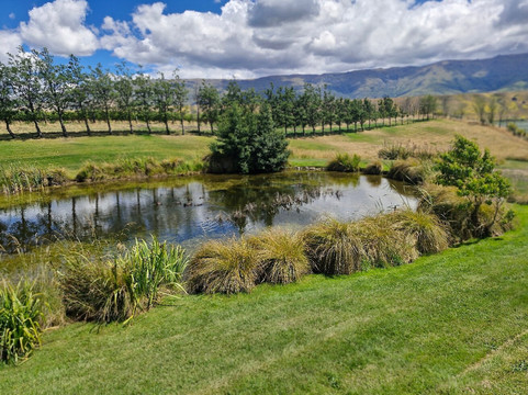 The Cloudy Bay Shed-克伦威尔镇必去景点