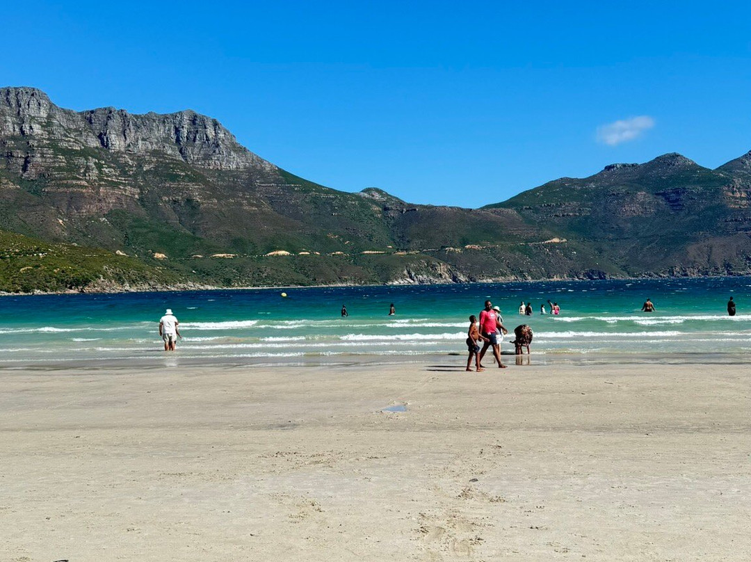 Hout Bay Beach-木湾必去景点