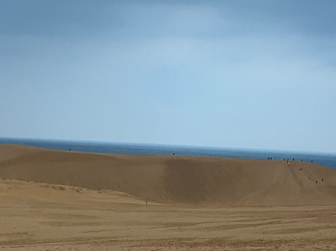 鸟取沙丘-鸟取市必去景点