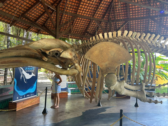 Centro de Pesquisas Museologicas Sacaca Museum-Macapa必去景点