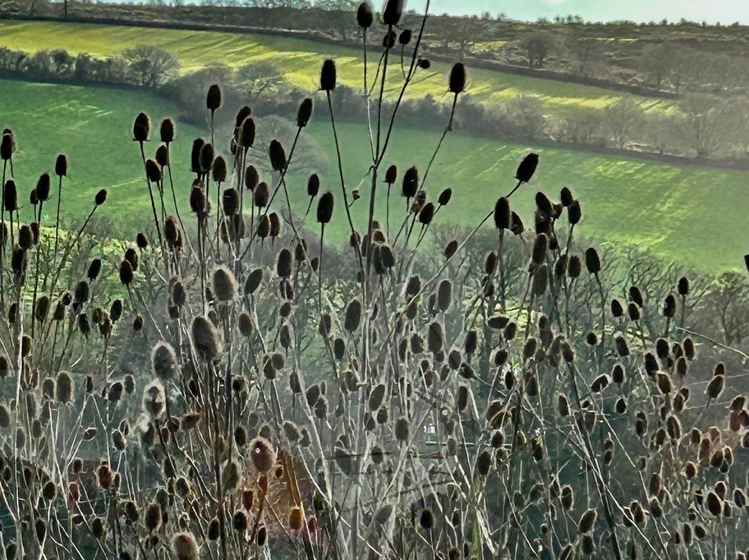 Alder Vineyard-Lewdown必去景点