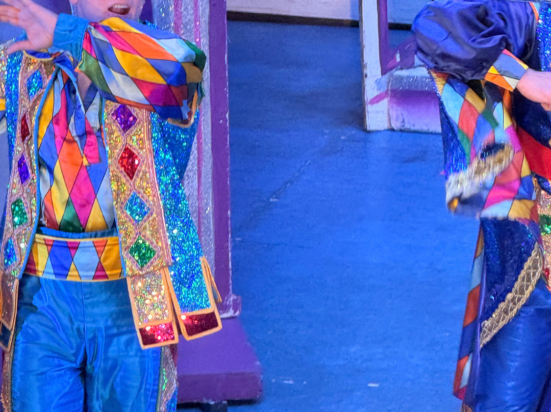 Theatre Royal-圣海伦斯必去景点