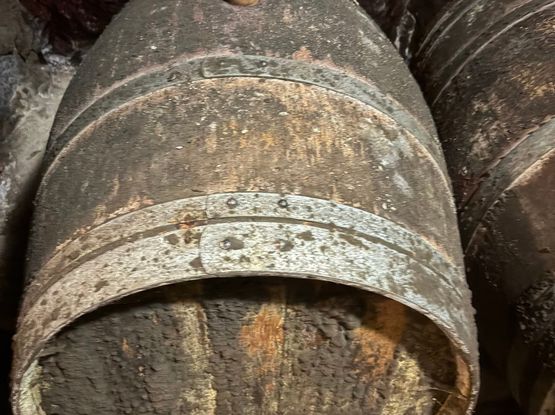 Chateau du Petit Thouars-Saint-Germain-sur-Vienne必去景点