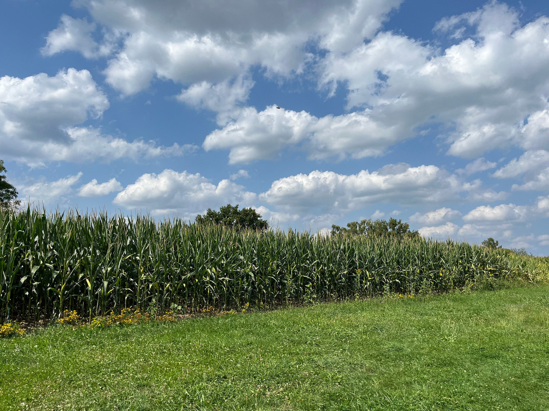 Gollenstein (menhir)-Blieskastel必去景点