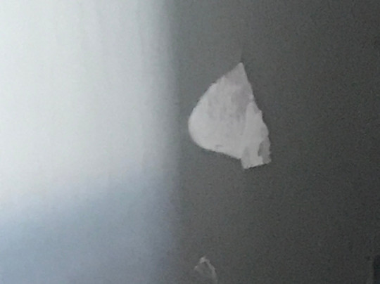 巴勒赫卡梅伦豪斯德维尔酒店主图