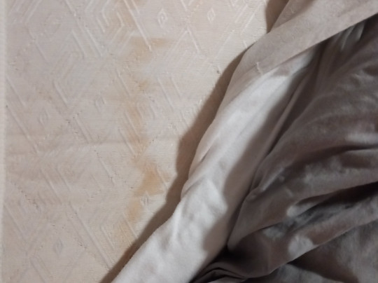 Wagner Hotel & Pensionshaus主图