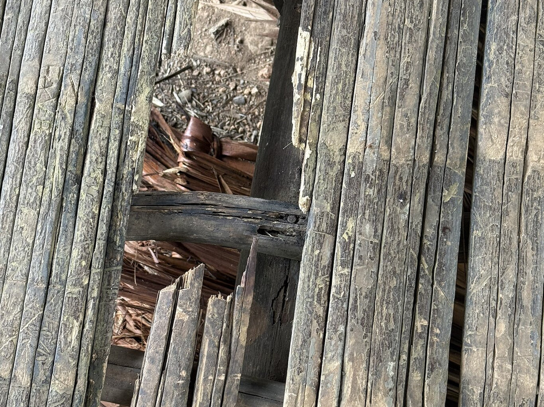 Trans Niugini Tours-Mount Hagen必去景点