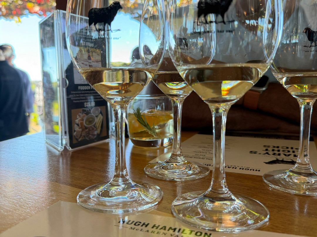 Hugh Hamilton Wines-麦克拉伦谷必去景点