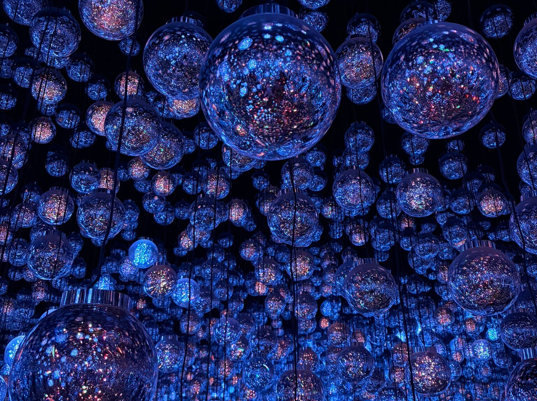 Teamlab Borderless Tokyo Azabudai Hills-港区必去景点