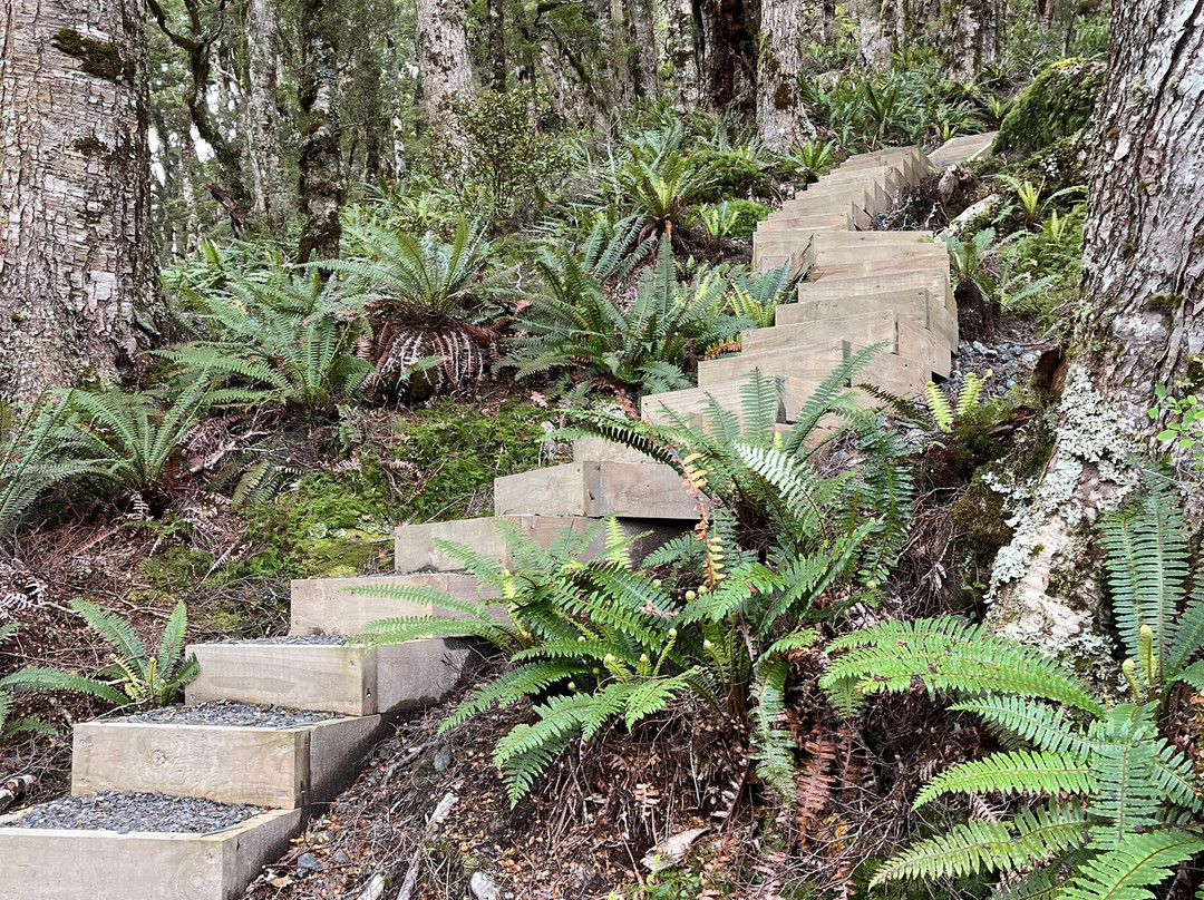 Hump Ridge Track-Tuatapere必去景点