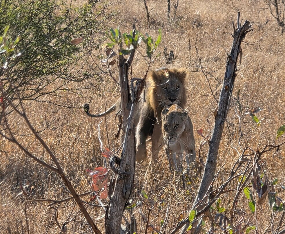 Africa Explore Safaris-开普敦必去景点