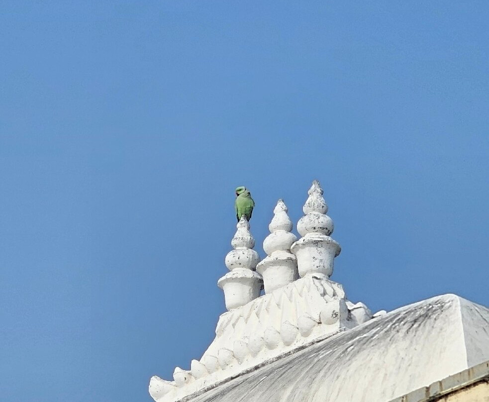 Sardargarh Heritage Fort主图