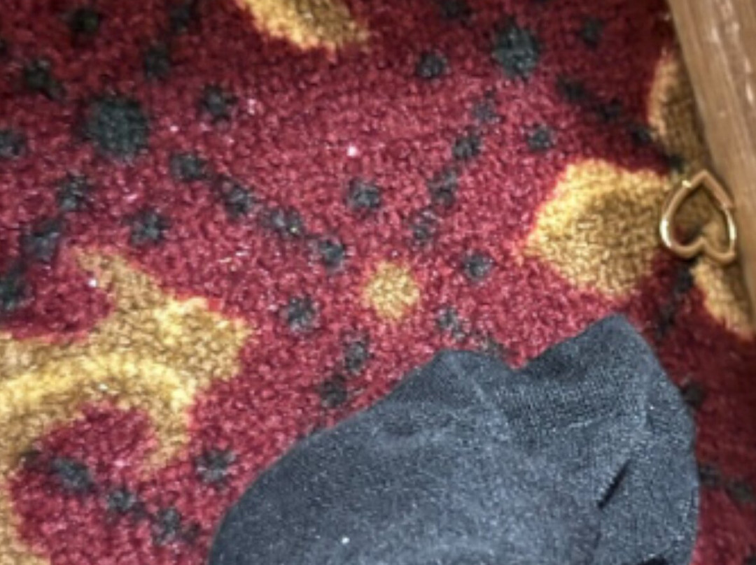 Northern Greens Resort主图