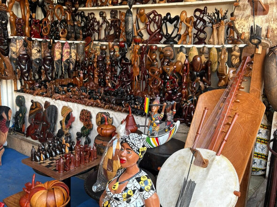 TSN Tours Sénégal-Goree Island必去景点