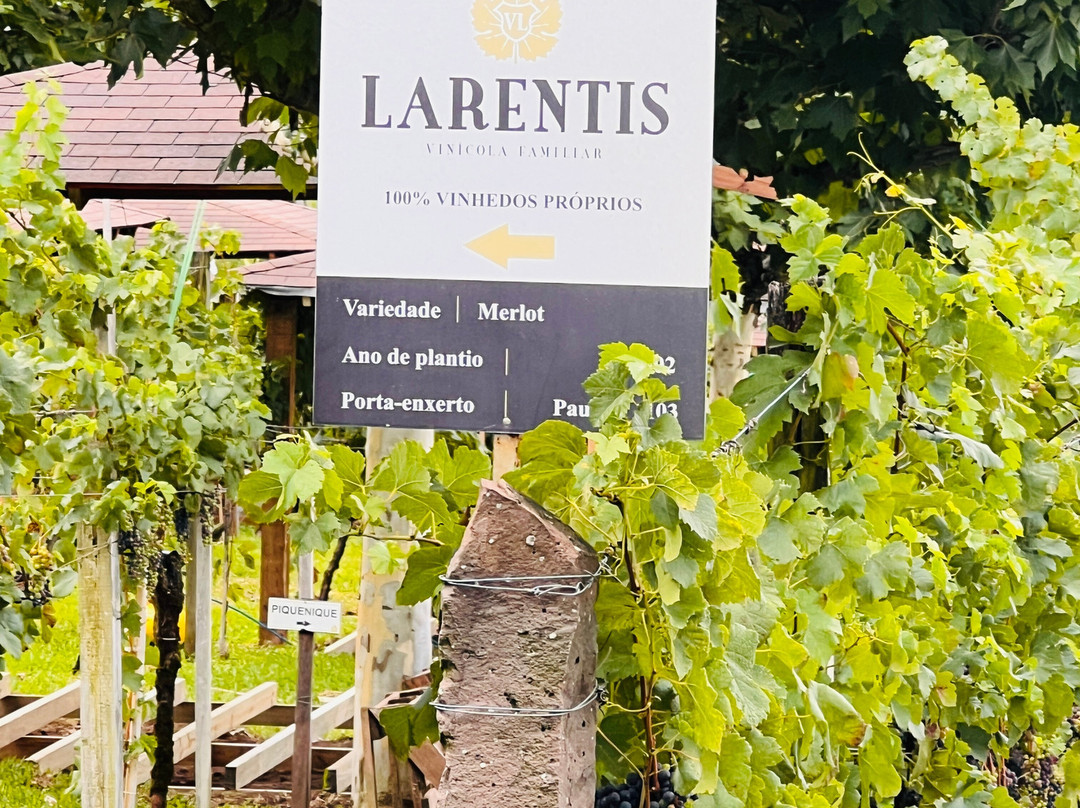 Vinhos Larentis-本图贡萨尔维斯必去景点