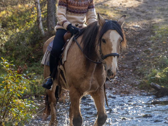 Konijänkkä-Akaslompolo必去景点