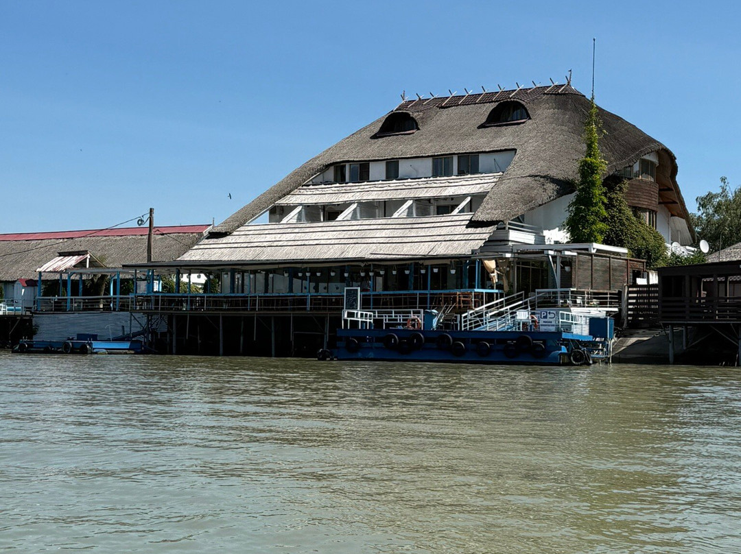 Pensiunea Paradise Delta House主图