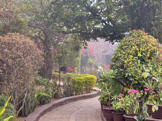 The Pugmark Resort主图