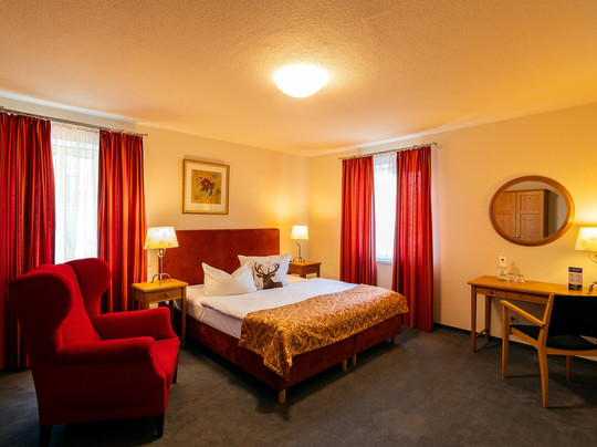 Apparthotel Bad Schandau by STEIGER Hotels主图