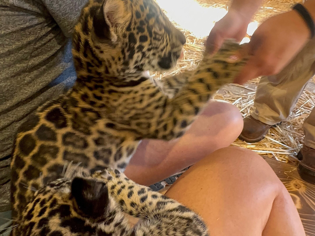 Pai Pai Ecotourism Park-恩塞纳达必去景点