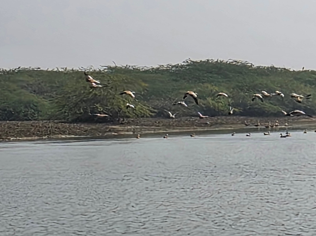 Chilika Lake-普里必去景点