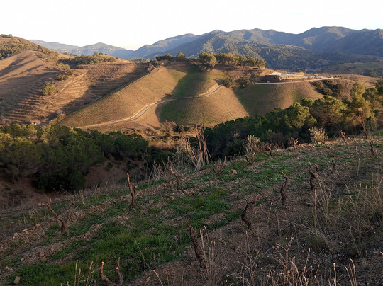 Mas Doix-Poboleda必去景点