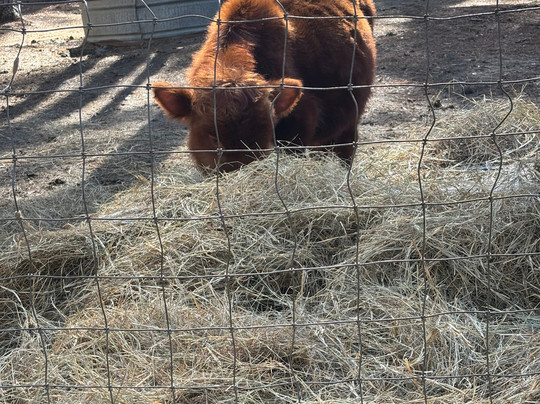 Redemptive Love Farm-Miccosukee必去景点