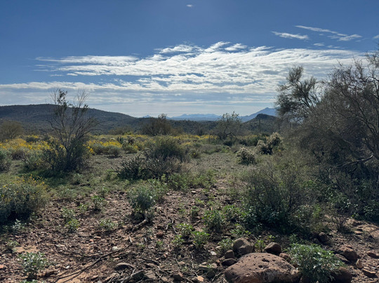 Cave Creek Regional Park-洞溪必去景点
