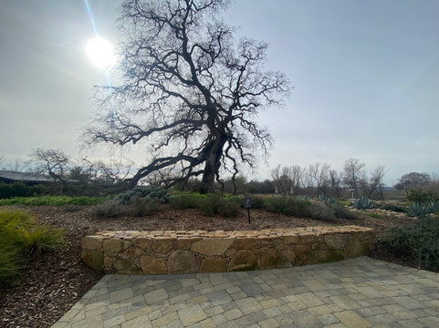 Casino Mine Ranch-Plymouth必去景点