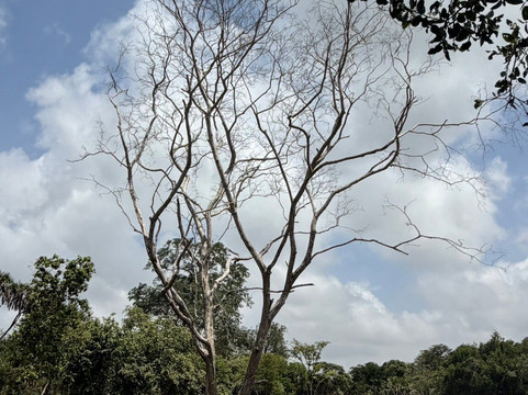 Likizovibes & Adventures-阿鲁沙必去景点