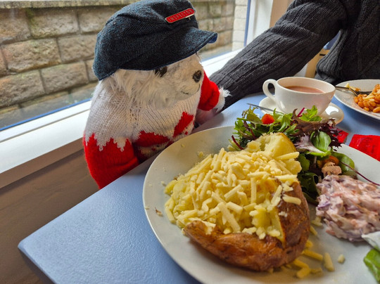 Dartington Crystal-Great Torrington必去景点