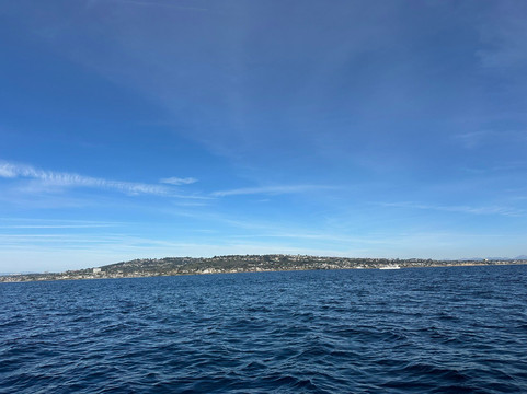 Gone Whale Watching-圣地亚哥必去景点