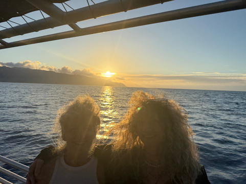 Haleiwa Shark Tours-哈雷瓦必去景点