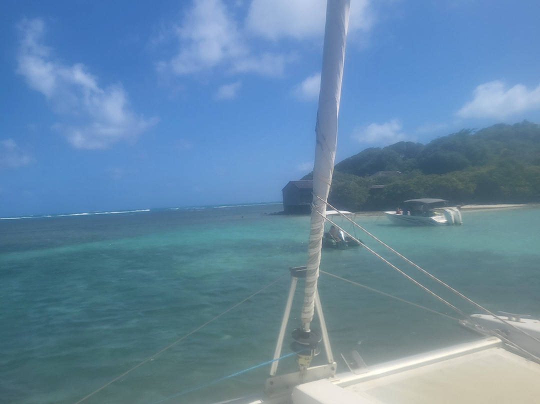 TY-Domino Catamaran-Le Robert必去景点