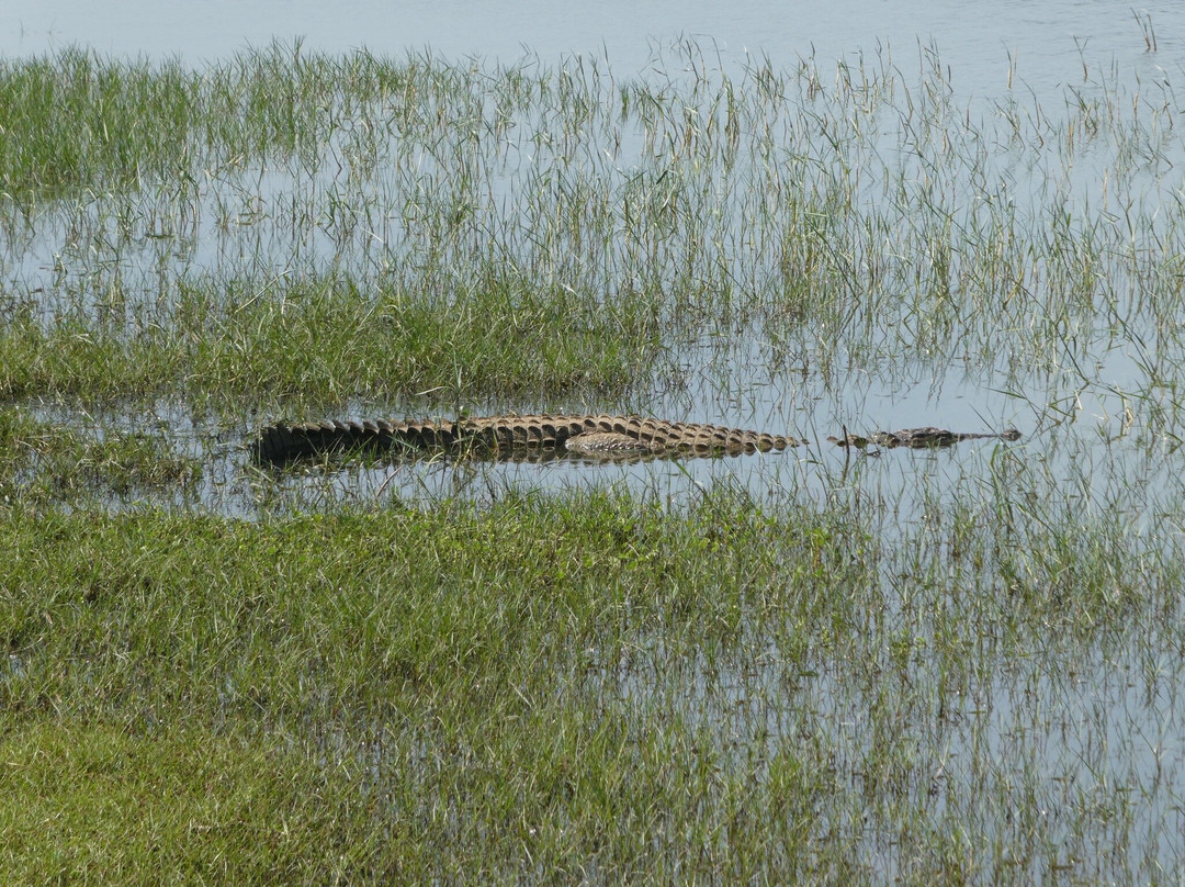 Cinnamon Hotels and Resorts-Yala必去景点