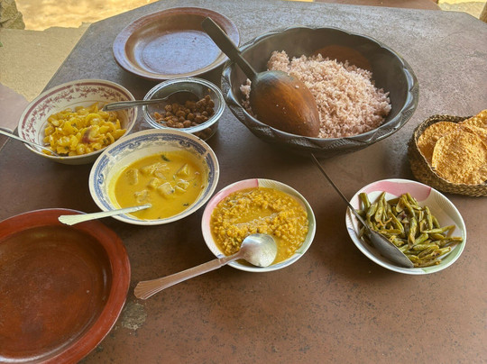 Travelling Thrills Ella-埃勒必去景点