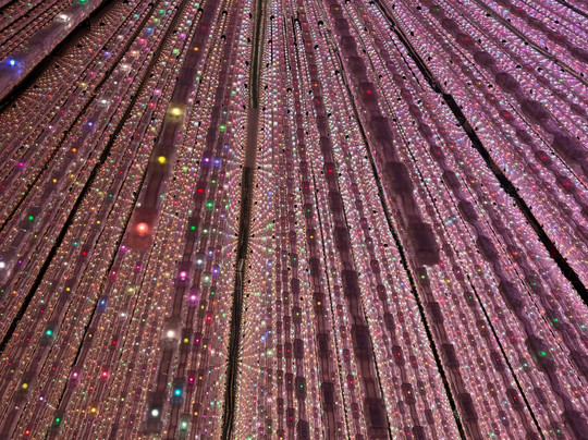 teamLab Planets TOKYO-Toyosu必去景点