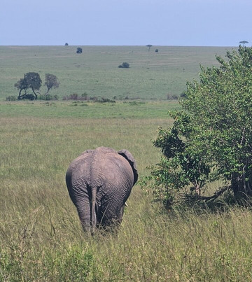 Sunnycreek Safaris-内罗毕必去景点