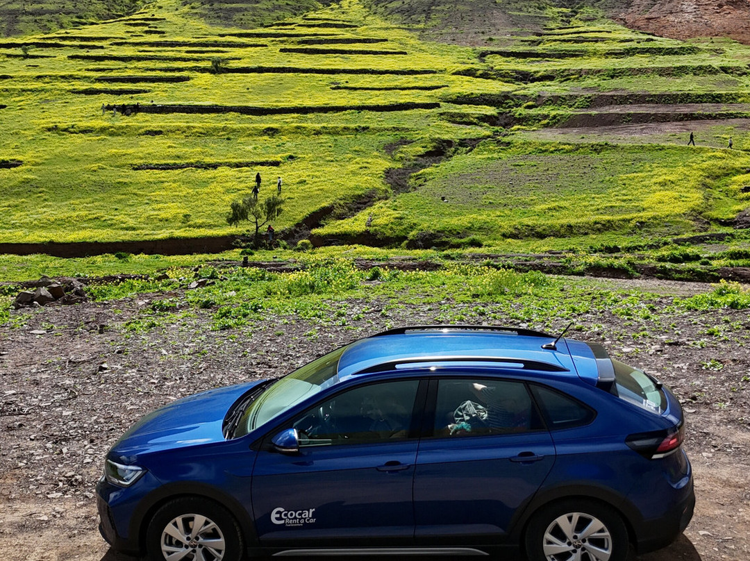 Ecocar Fuerteventura-Castillo Caleta de Fuste必去景点