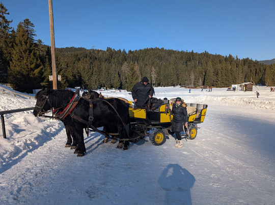 Pferdekutschenfahrten Fiakerei Neuner - Kutschenfahrt Tirol-湖地必去景点