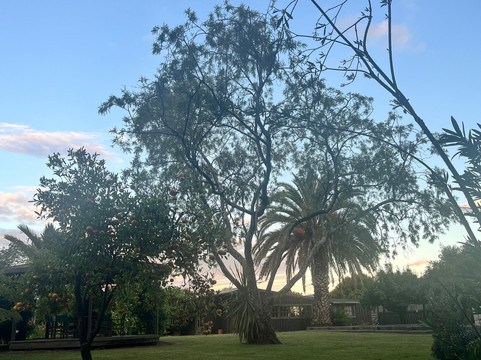 Hoglund Art Glass-尼尔森必去景点