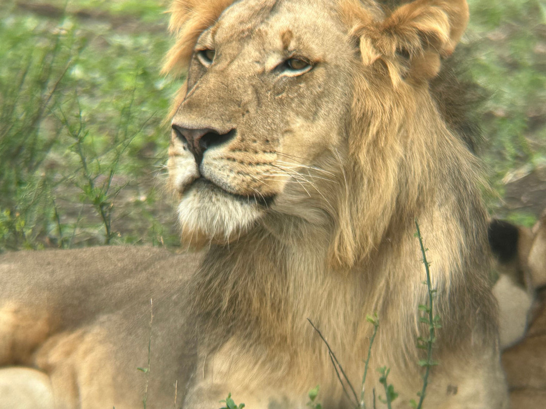 Marmara Holidays-Dar es Salaam必去景点