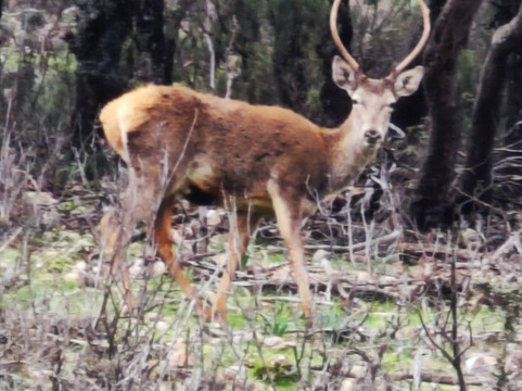 Lyncis Ecoturismo Y Medioambiente-Guarroman必去景点