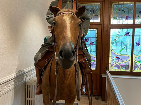 Memorial Museum Passchendaele 1917-Zonnebeke必去景点