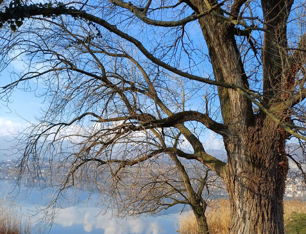 Lungolago Gianni Brera-Bosisio Parini必去景点