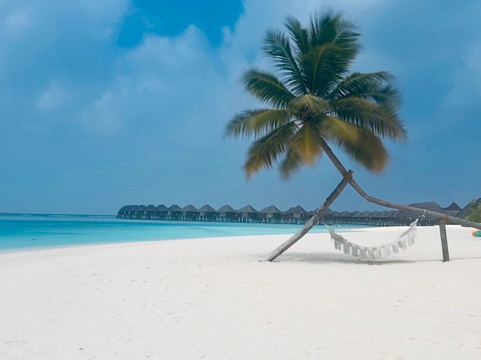 Mahlatini Luxury Travel-Rondebosch必去景点