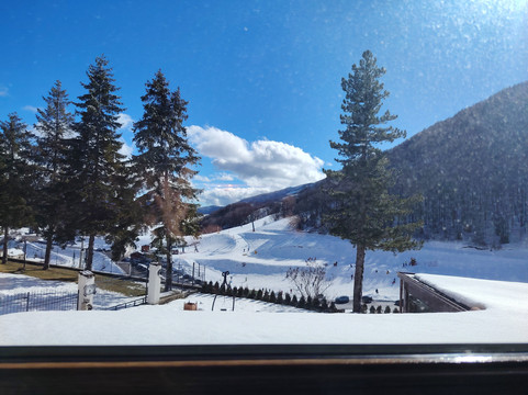 Hotel Boschetto主图